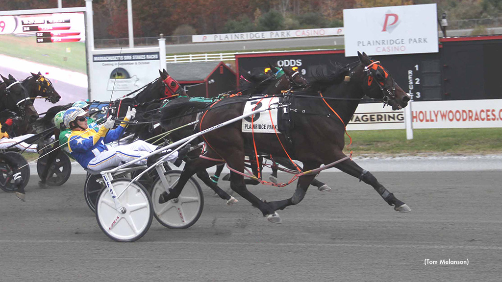 Sundown Kid Shines In Plainridge Park Pace