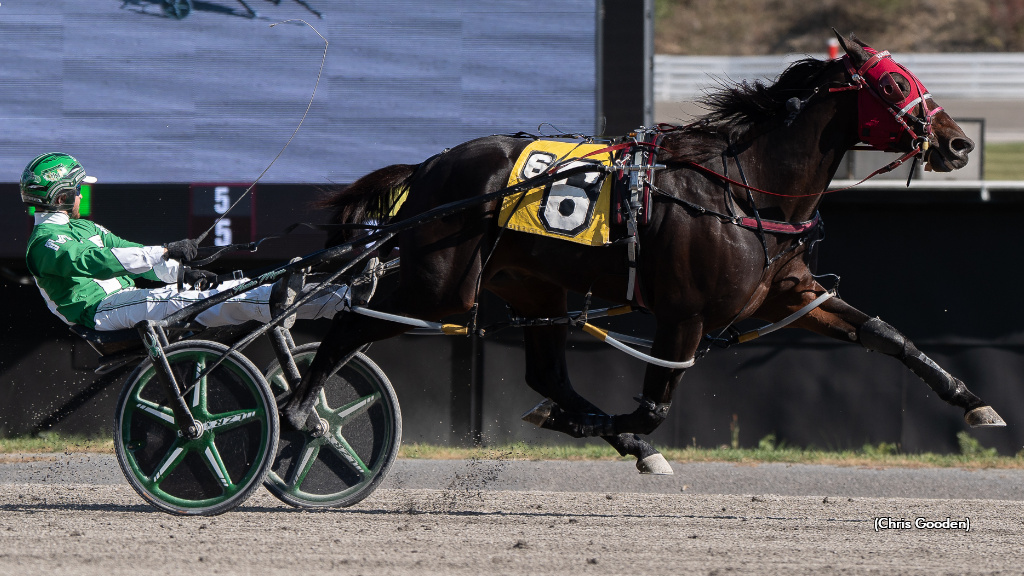 Surreal Ideal Stays Hot With Meadows Open Win