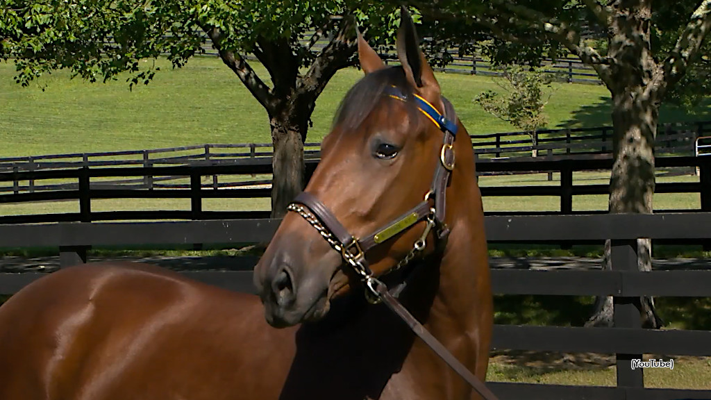 The Goose Princess Tops Lexington Fourth Session