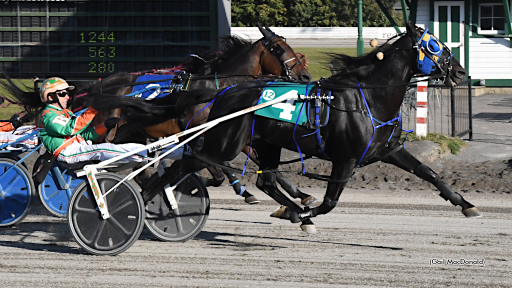 Twin B Tuffenuff Victorious In Charlottetown