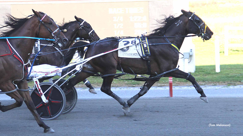 Virtual Horizon Turns In Lifetime Best At Plainridge 