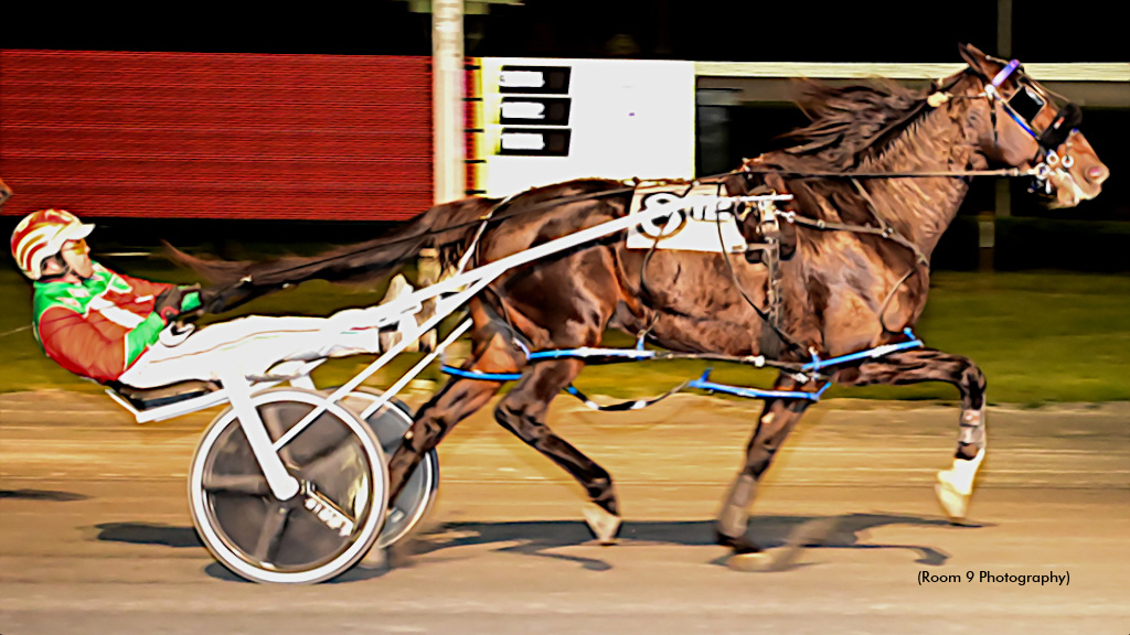 Ammo Vaults To Victory In Rosecroft Open