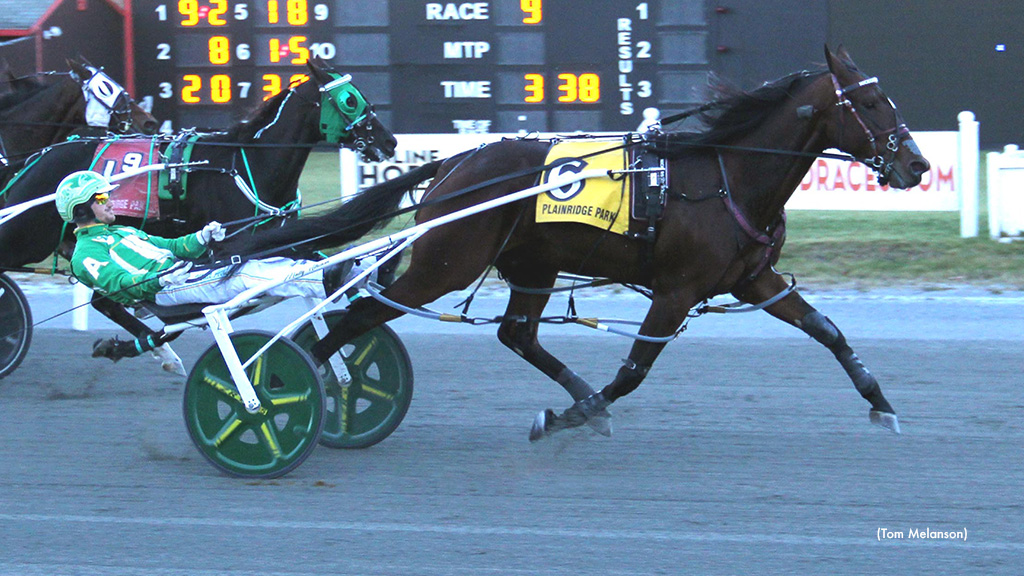 Plainridge Feature Goes To Andy Mac Hanover 