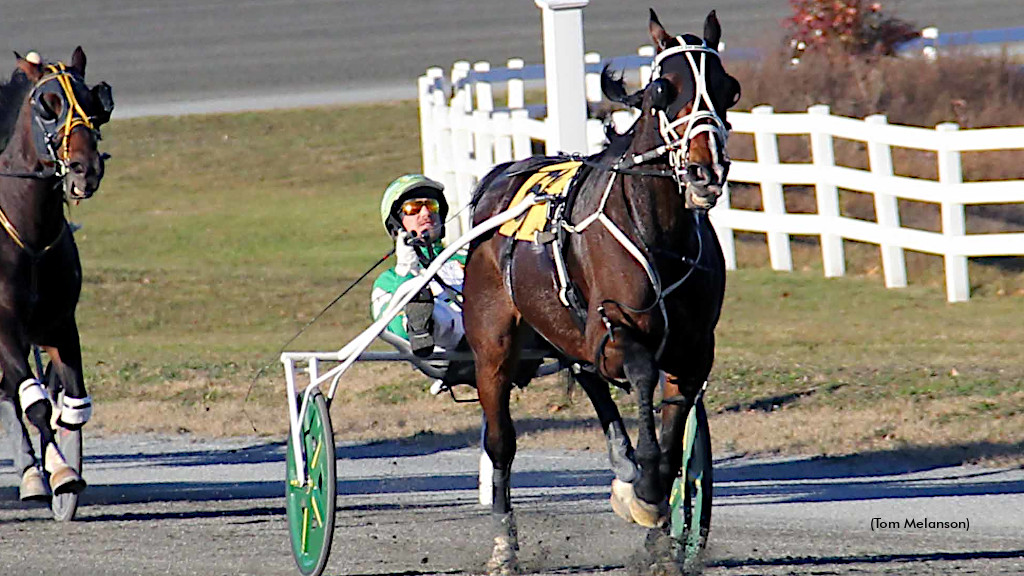 Plainridge Preferred By Big Box Hanover  