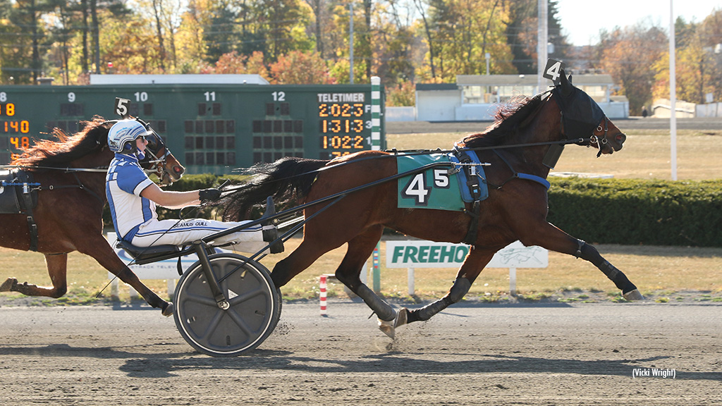Quill, Sheridan Win Freehold AHDC Trots Quill, Sheridan Win Freehold AHDC Trots