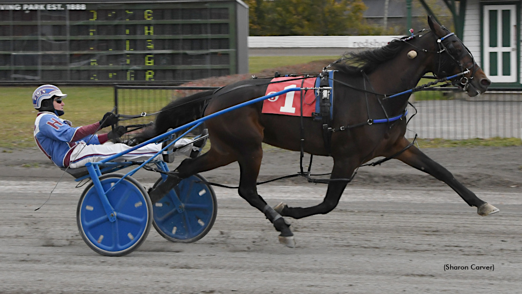 Fight Song Battle Ready At Red Shores Saturday
