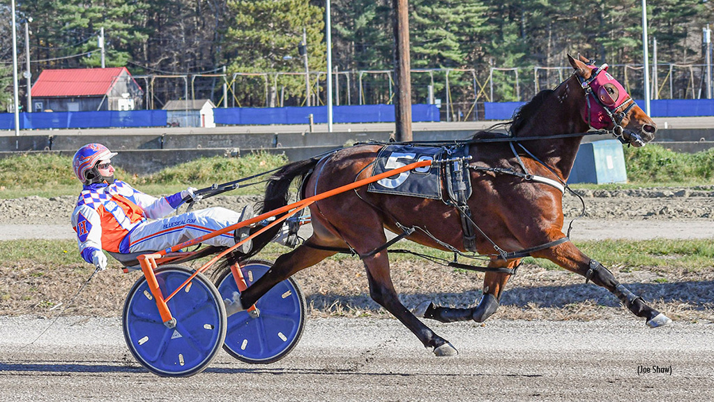 Capacity Crowd Honours Leigh Fitch At Cumberland