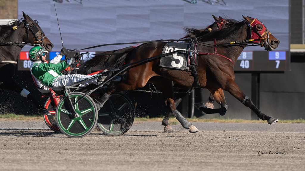 Killer Instinct Gets Key Breather To Win Open Trot