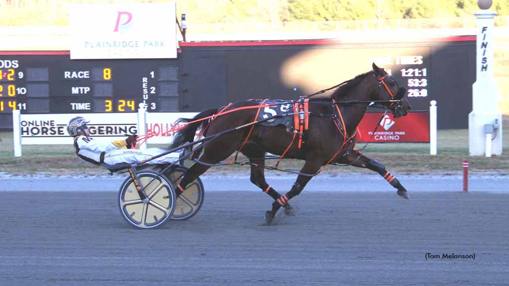 Lifes A Puzzle Takes New Mark In Plainridge Open