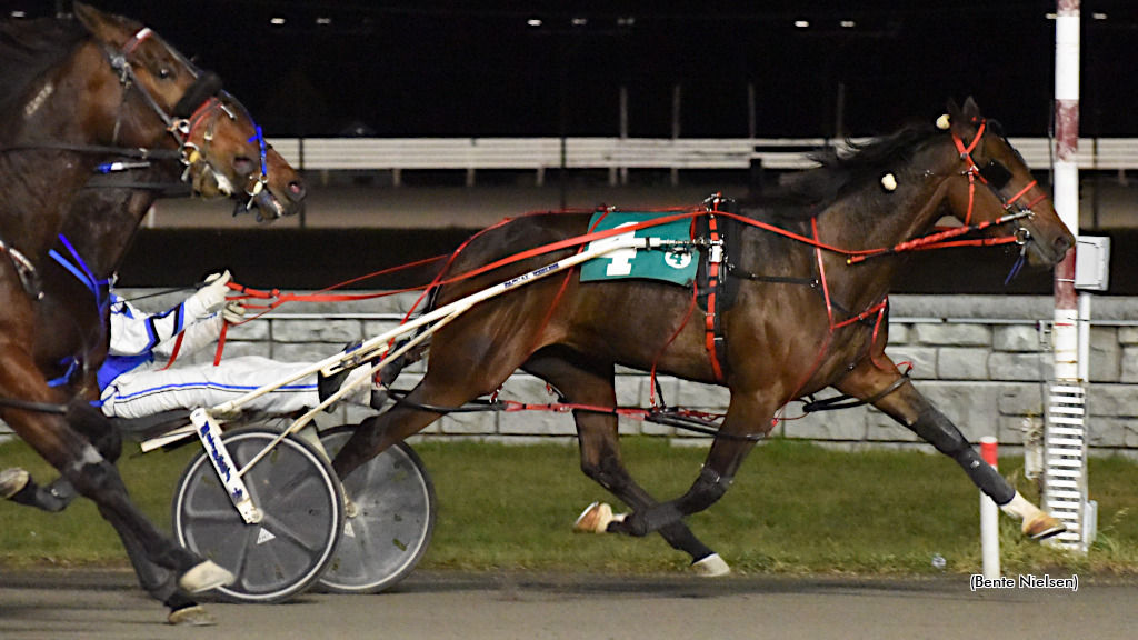 Light The Torch, Shepherd Share Rideau Spotlight