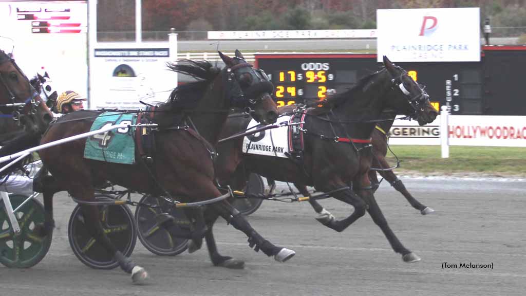 Little Willy Comes Up Big In Plainridge Open