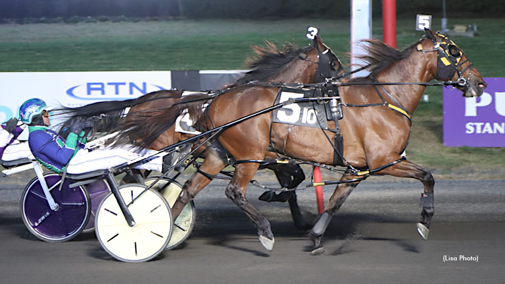 Maximus Miki Marvelous At The Meadowlands