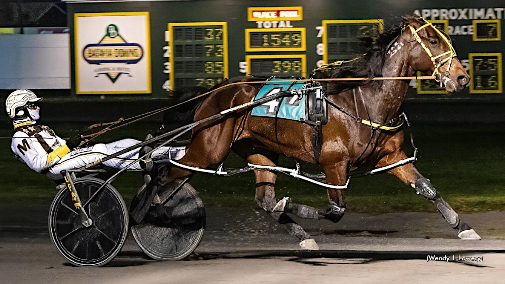 Melanion N, Dougadougadew Best At Batavia Saturday