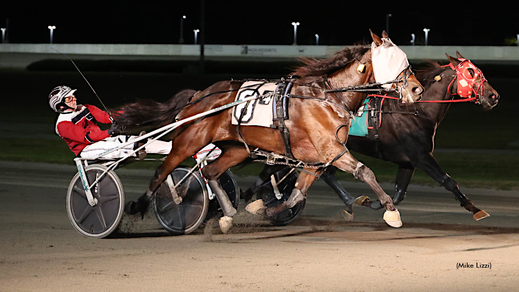 Beltrami Up In Time In Yonkers NAADA Trot