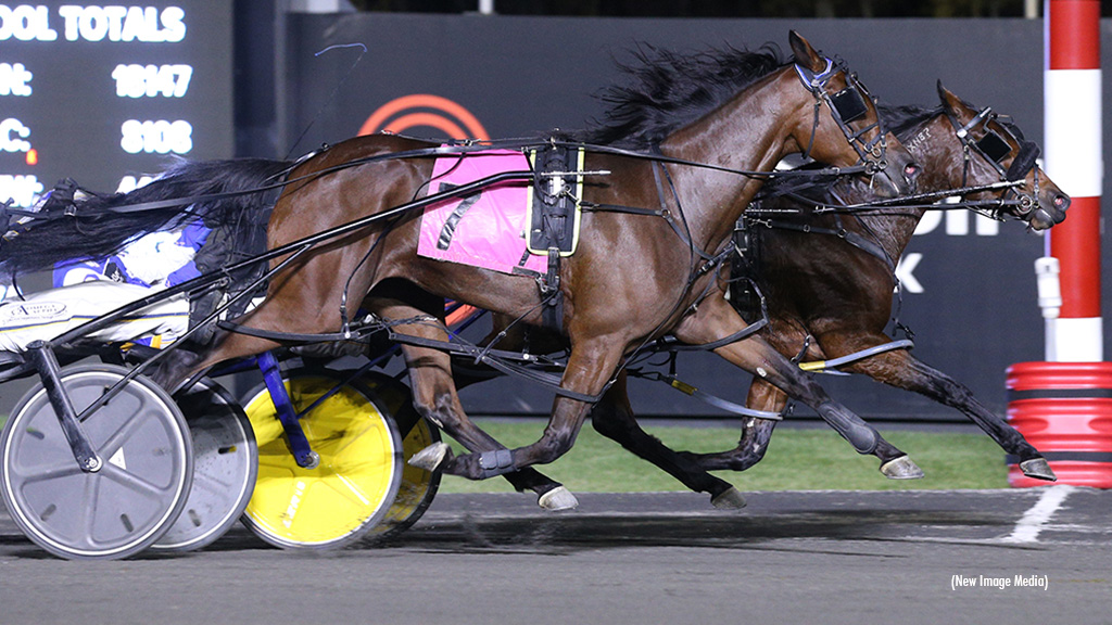 Red-Hot Roy Sweeps Harvest Series Finals At Mohawk
