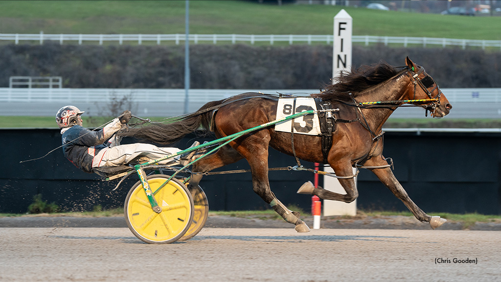 Pick Pocket Takes Meadows Feature