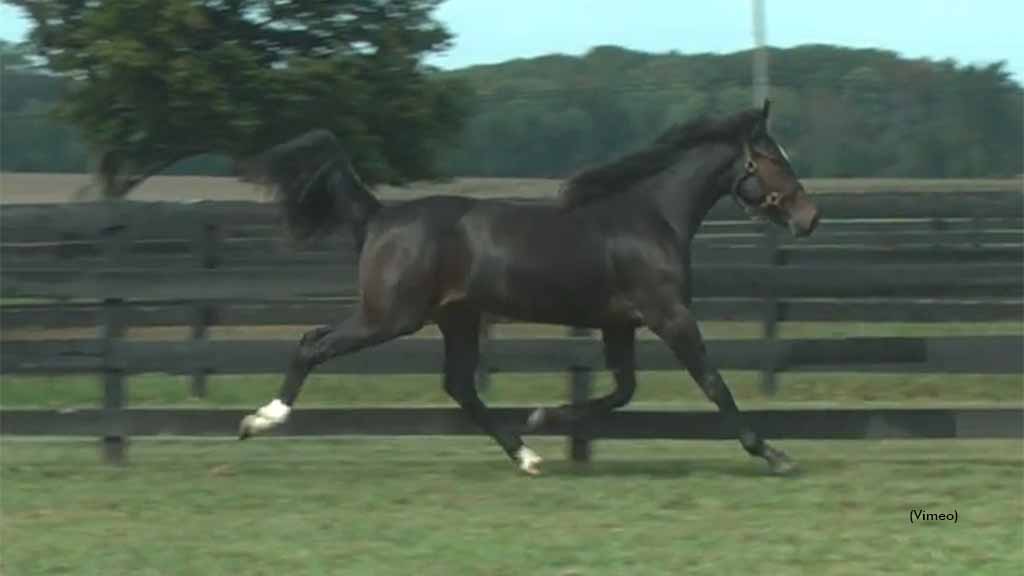 Shes On The Money Tops Third Day In Harrisburg