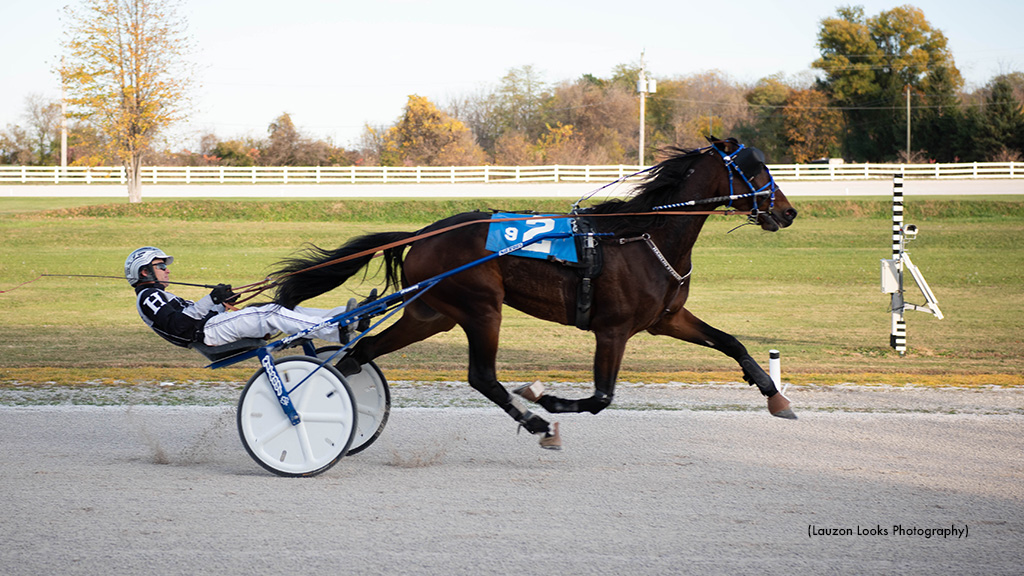 Shouldaknownbetter Wins Lakeshore Cup