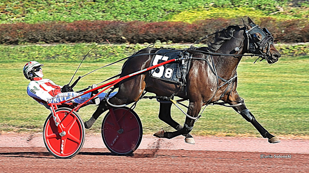 Horses Climb Pocono Class Ladder Saturday