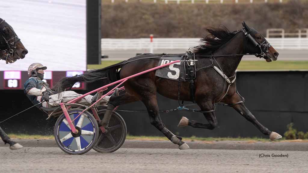 Spitfire Oversees Wins Meadows Thursday Feature