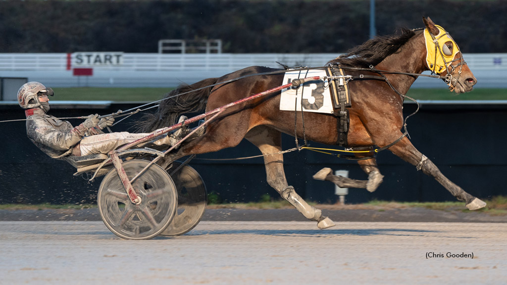 Stardust Volo Wins Thursday Feature At Meadows