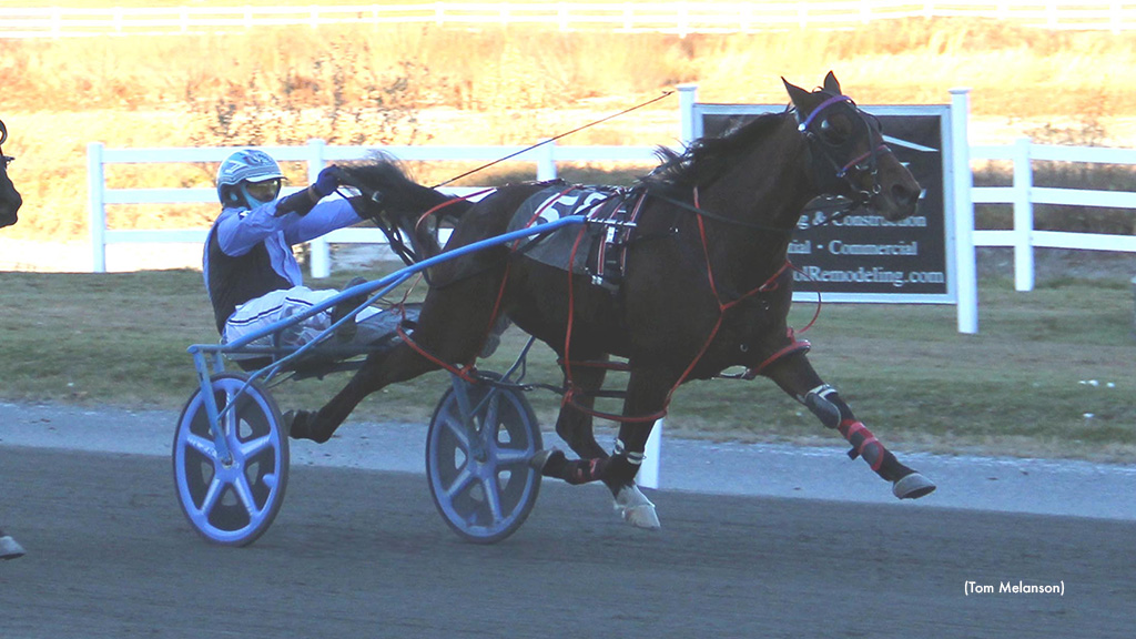 Sweet Street Lou Upsets In Plainridge Tuesday Feature