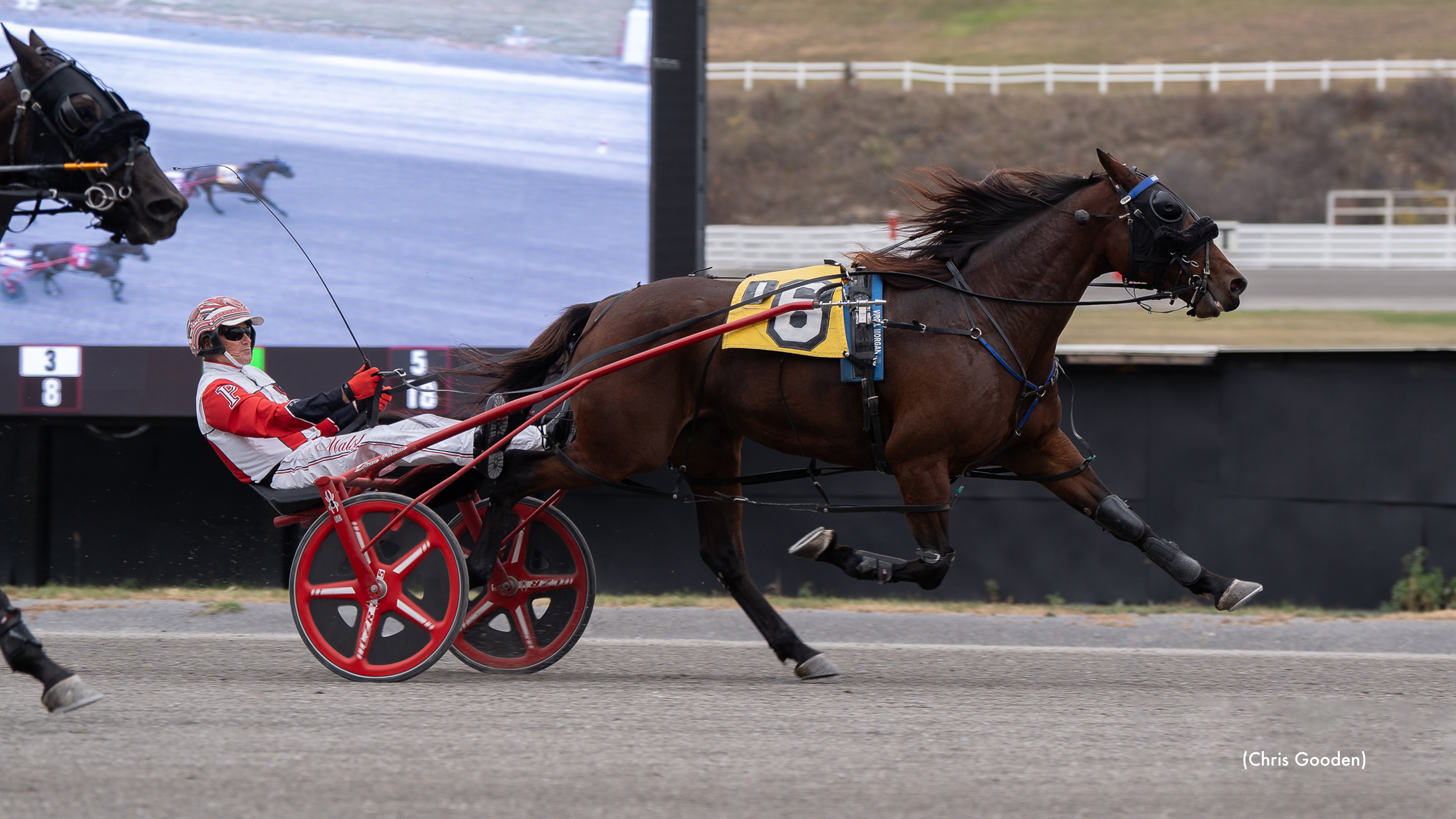 Trick Of The Light Wins Meadows Feature