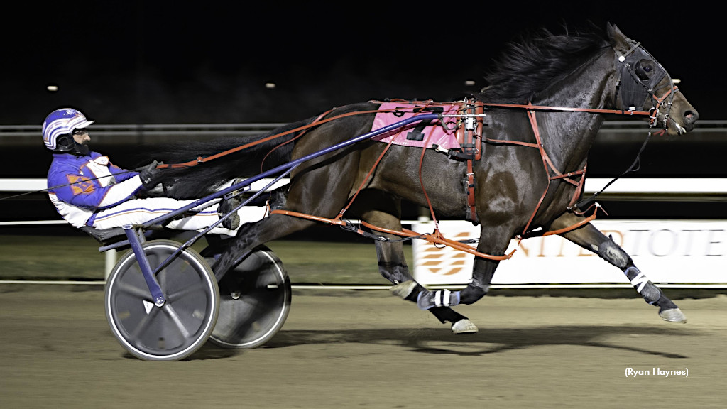 Ellis Triples Saturday At Century Mile