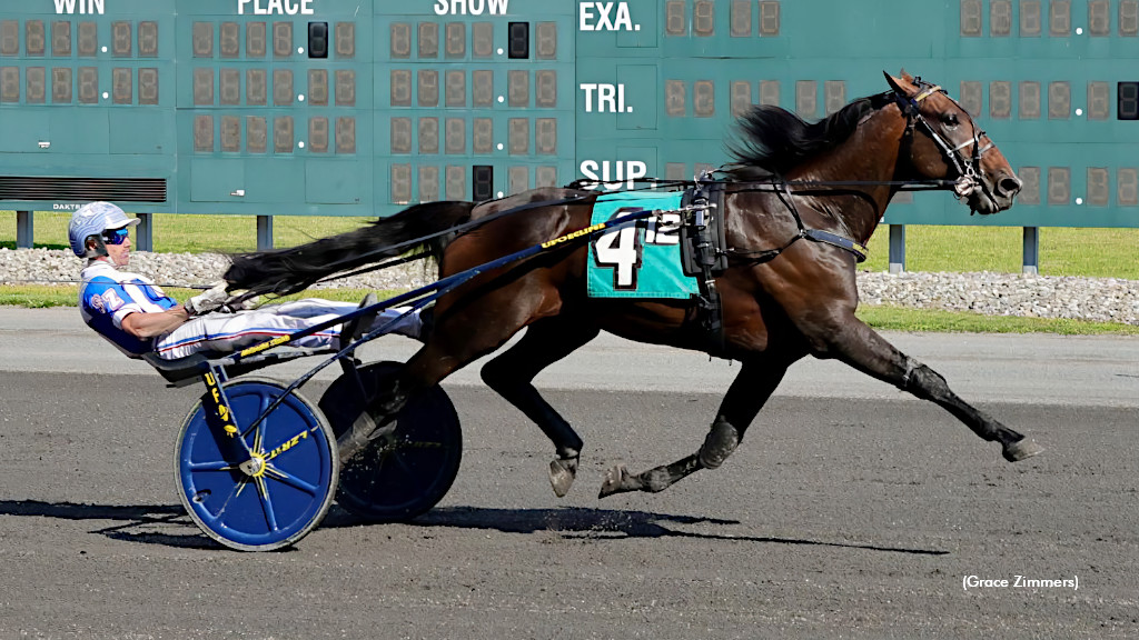 Venerate Retired, To Stand Stud