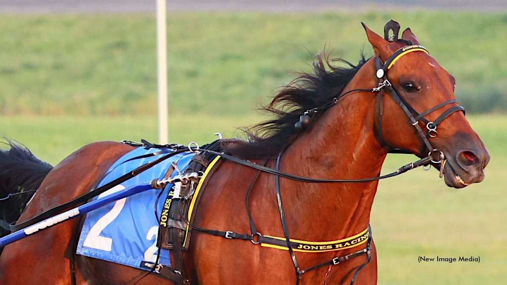 Whichwaytothebeach Returns A Winner