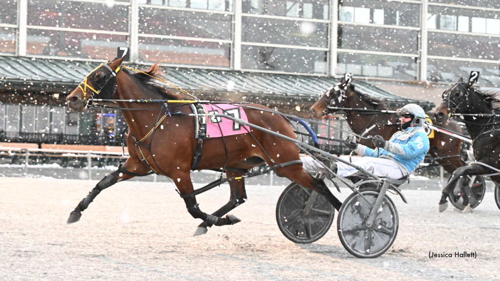 Alittlesidehustl N Wins Another Saratoga Open