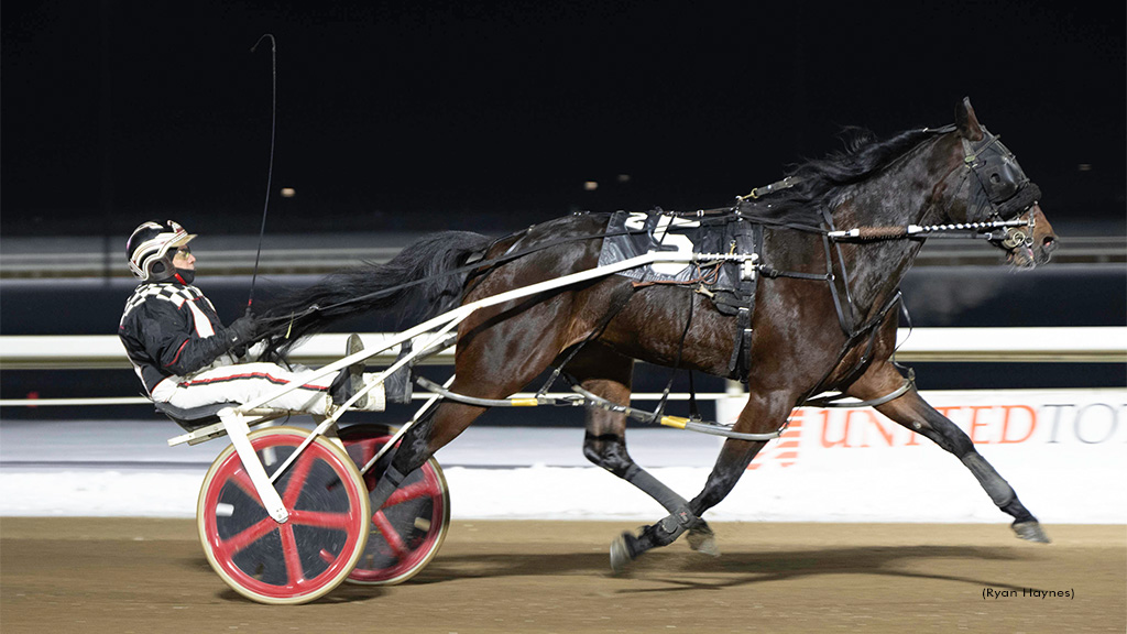 Five Straight For Baby Limbo, Ellis Wins Four At Century Mile