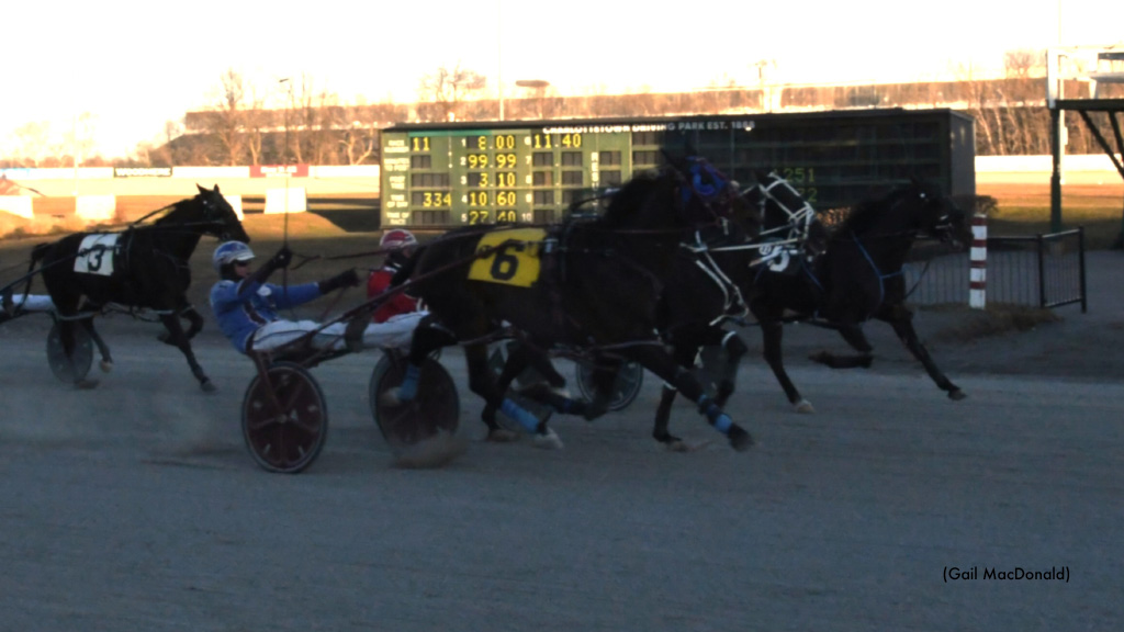 Gamester Stable Sweeps At Charlottetown Sunday