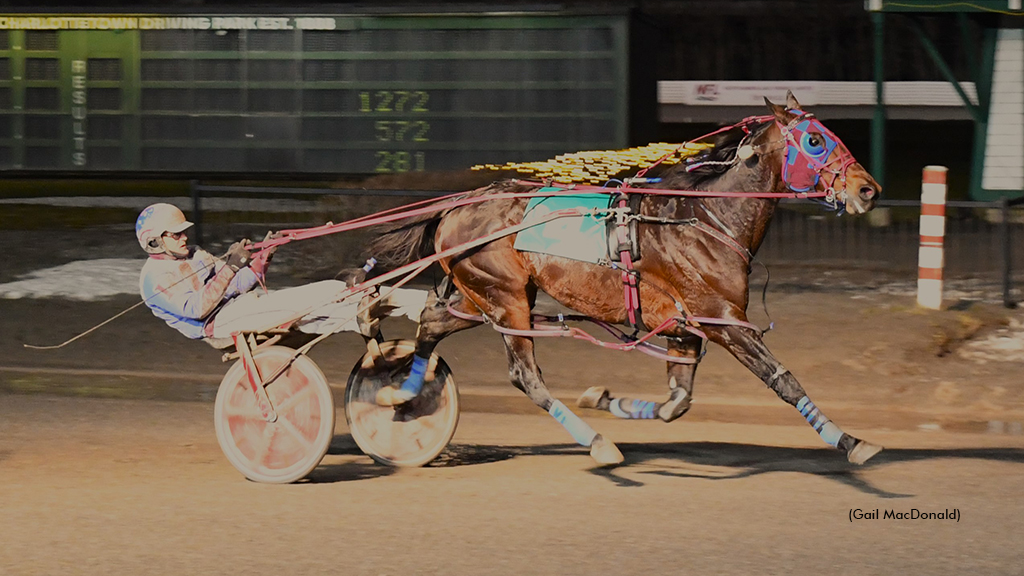 Eventful New Year's Eve At Red Shores Charlottetown
