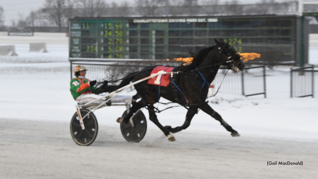 Blood Money Takes Red Shores Preferred 