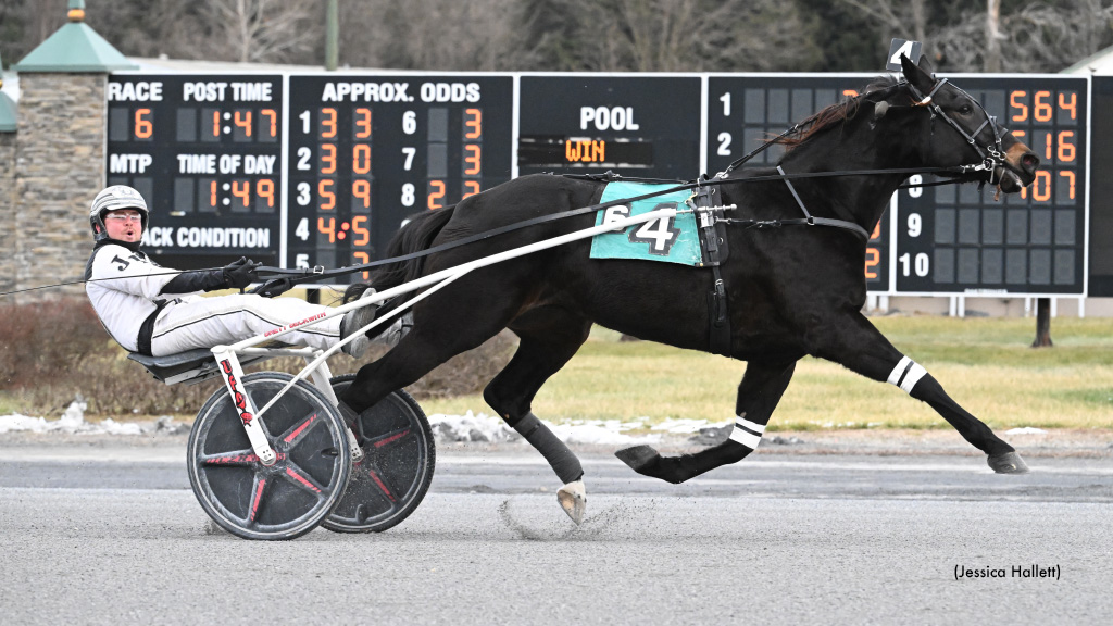 Bluffinner Back On Top At Saratoga