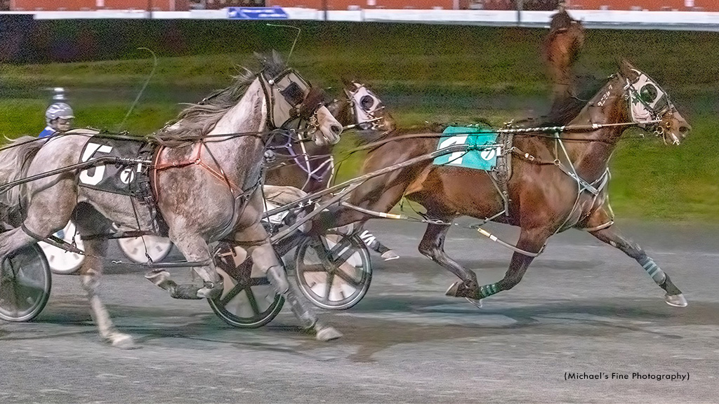 In High Cotton Repeats In Fraser Preferred