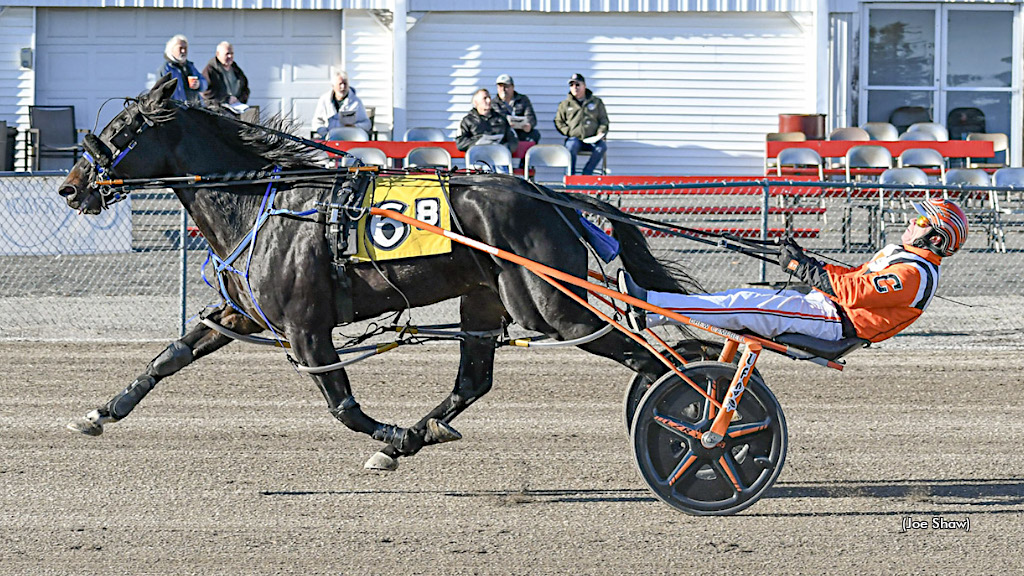 Campbell Clicks For Six At Cumberland