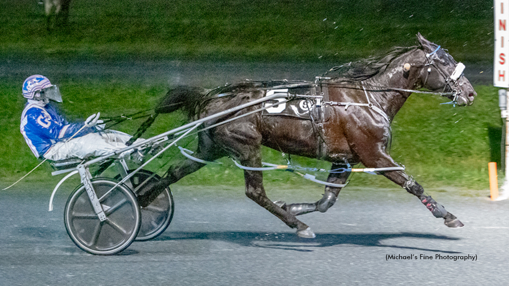 Sunshine Boy winning at Fraser Downs