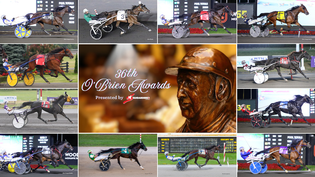 Which Trotter Could Win Horse Of The Year?