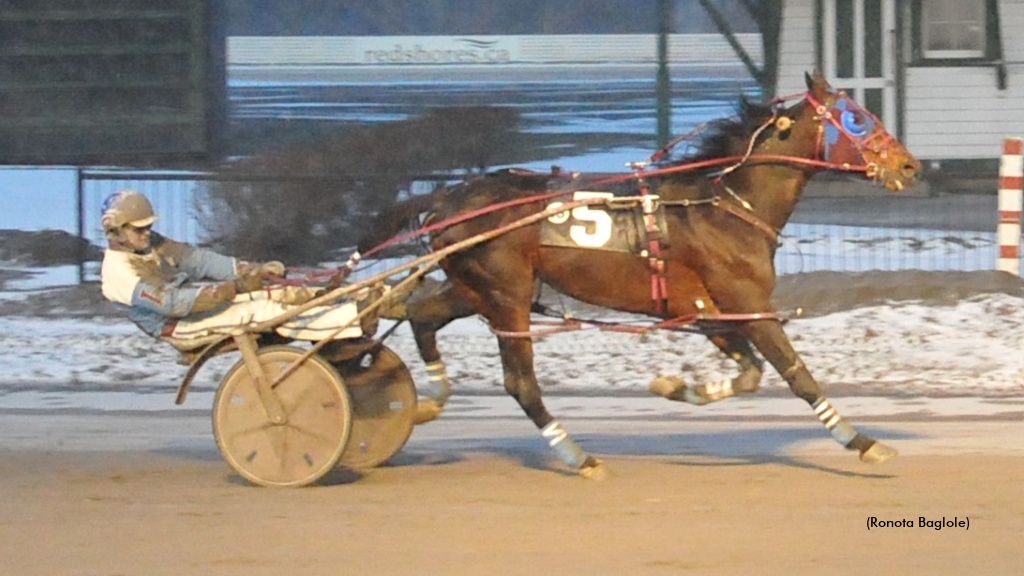 Bee Two Bee Romps In Charlottetown Preferred