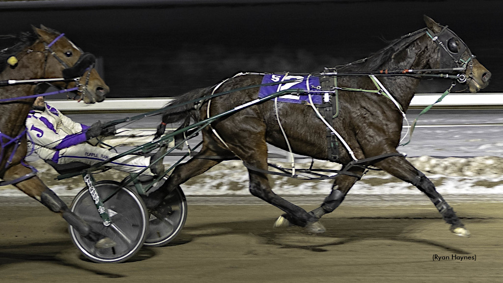 Electric Amadeus Sizzles In Century Mile Distaff Preferred