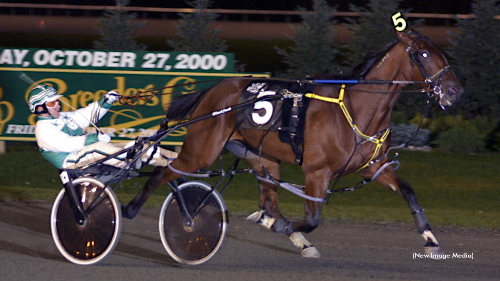 Gallo Blue Chip Passes