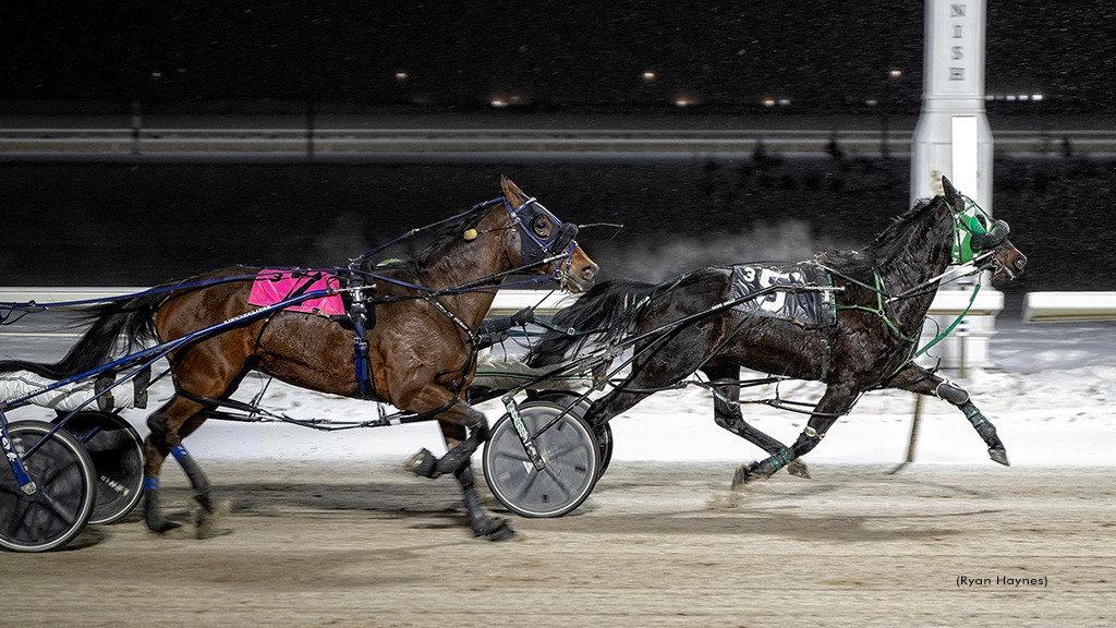 General Custard Wires Field In Century Mile Preferred