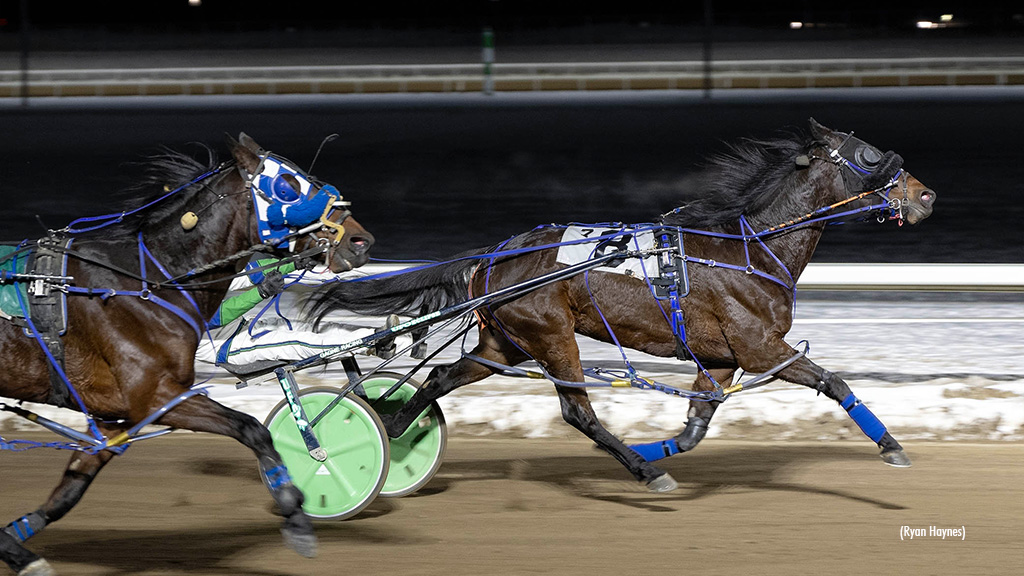 Mercedes Cruises In Century Mile Preferred