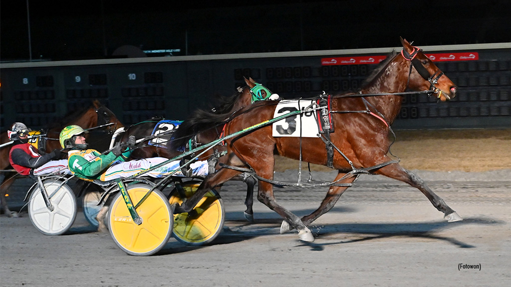 Alta Revelry N Revels In Dover Open Victory