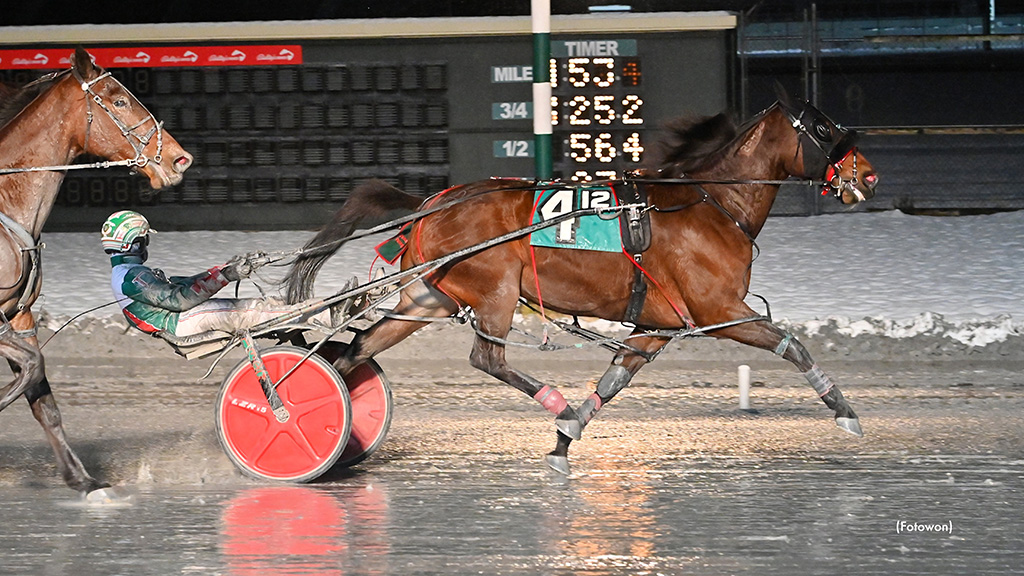 Disturbed Hanover Wires Dover Distaff Open