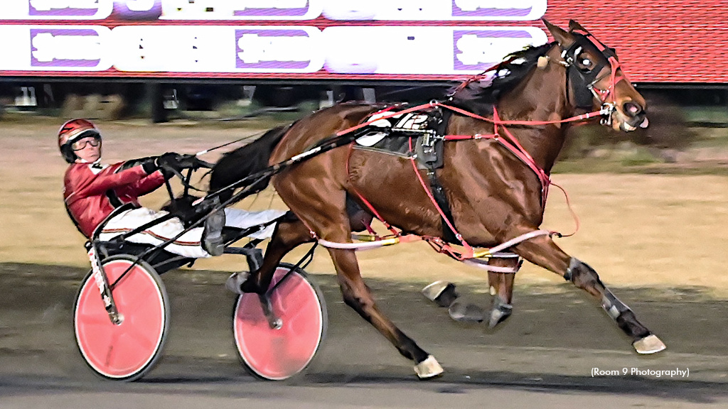 Dontmesswithles Rallies, Reaches At Rosecroft