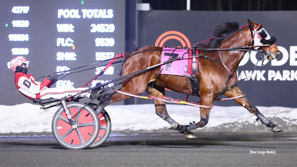 Giddy Up Max Quickest In Mohawk Pop-Up Action