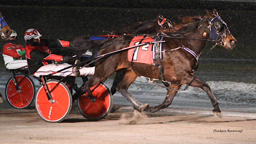 Slendorn Scores In Yonkers NAADA Trot